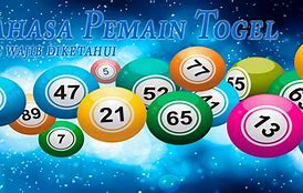 Pasal Pemain Togel